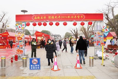 有一种年味叫"赶集"!沪郊这个小镇上,持续9天的民俗年货节受市民游客追捧